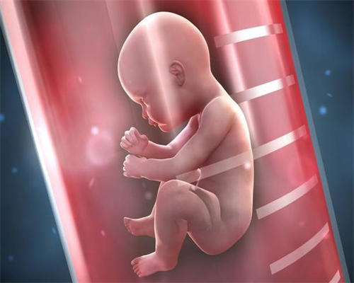 2026河南权威供卵机构排名及借卵生子医院优选指南